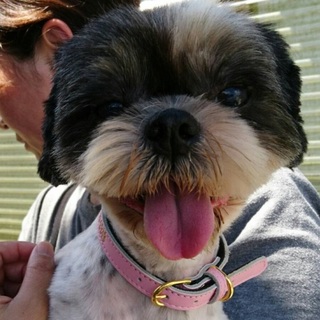 ちょっとシャイなネビルちゃん❤