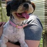 ちょっとシャイなネビルちゃん❤ サムネイル2