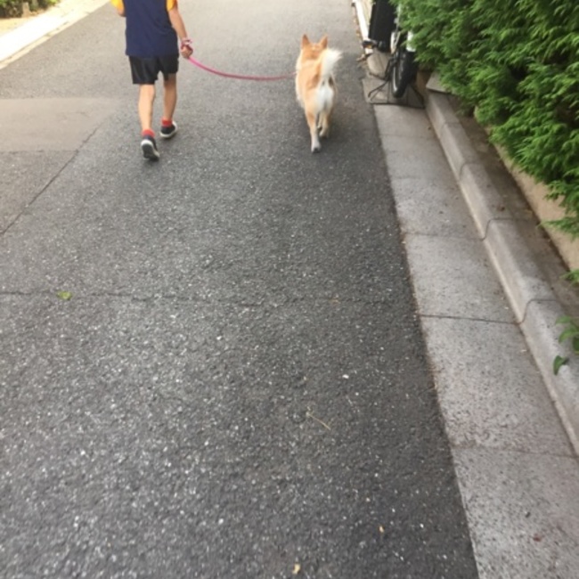 あるちゃんママのカバー写真