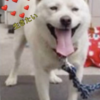 ご縁がありました