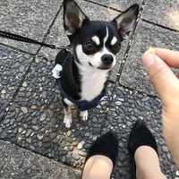 てつ丸