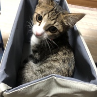 天(てん)