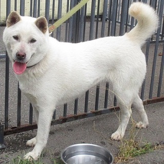 困り顔がキュートな紀ぃちゃん。紀州系の女の子