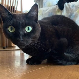 新しい家族と幸せに暮らしています！