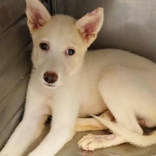 【助けてください】 元中‐D365 メーター