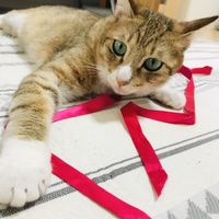 らむ