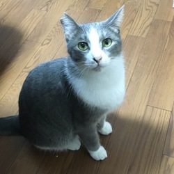 あっちゃんは元気です