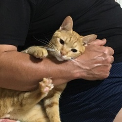 ハルカも元気よ♩