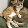 兄弟なかよし！いつも一緒♡