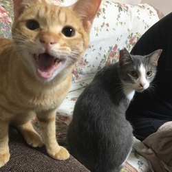 エサくだしゃい♩