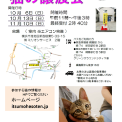 いつもへそ天　猫の譲渡会 サムネイル1