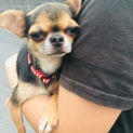 ありがとうございます！交渉中です。