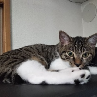 天真爛漫、陽気なお転婆ガール❣️