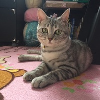 ムーン