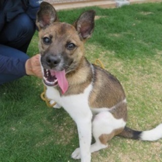 ◆ここから出して！◆人が大好きな“ゆりゆり君”