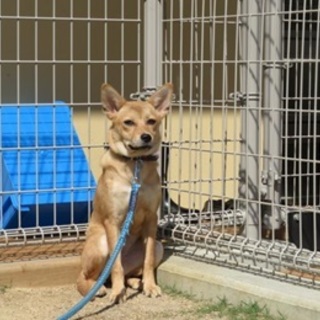  H30D053◆こかげちゃん◆