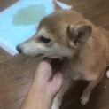 ユちゃん