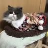 もうすぐ4才！