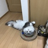 どこで寝てるの⁈