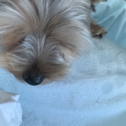 「実家への道のり（車酔いアゲイン）」サムネイル1