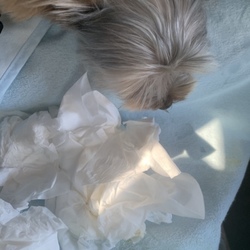 「実家への道のり（車酔いアゲイン）」サムネイル2