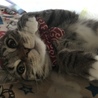 の写真