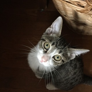 とっても人なつこい女の子、そらちゃん