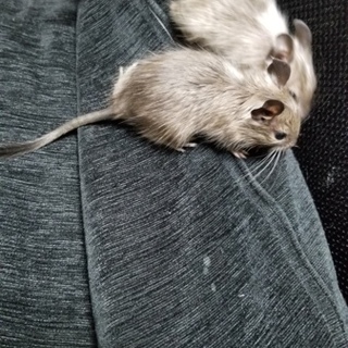 一旦応募締め切ります。