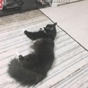 里親の条件厳しくないですか？