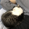 の写真