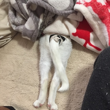 の写真
