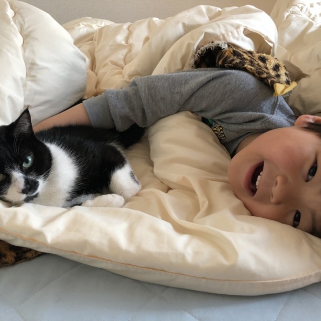 Tama san no ouchiのカバー写真