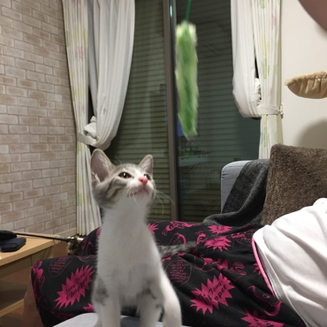 の写真