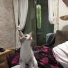の写真