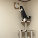 エキゾチック  1歳