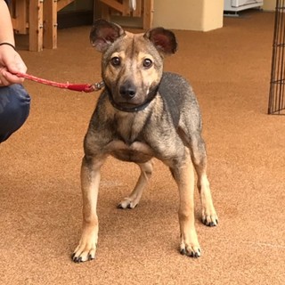 ◆ここから出して！◆本当は甘えん坊の“こしょう君”