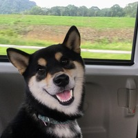 あさひ