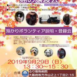 猫のミニミニ譲渡会　produced by 魔法使いの猫たち＆犬猫の預かりボランティア説明・登録会