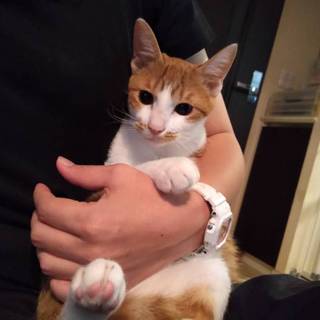 やんちゃBOY《ちび》ちゃん♡