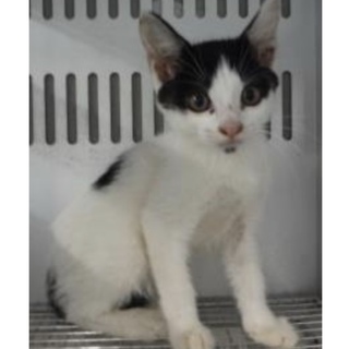 団体様が引き出してくださいました。183