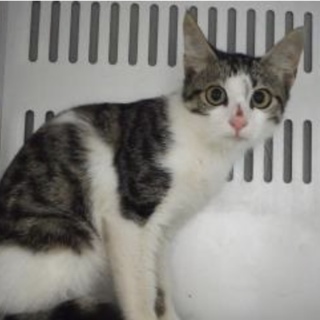 団体様が引き出してくださいました。 184