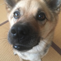 ちゃむ
