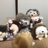 ぜん0818