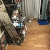の写真