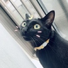 あさみ127