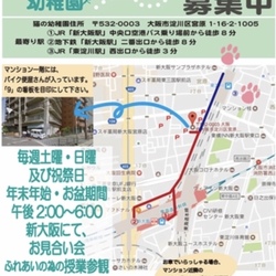 猫の幼稚園とteamねこのて合同お見合い会‼️ サムネイル1