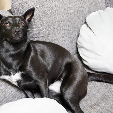 変な格好だけどかわいい！