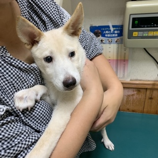 里親さま決まりました☆