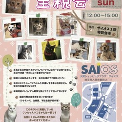 犬猫譲渡会　☆入間市サイオス特設会場☆