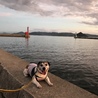 近所の海で散歩